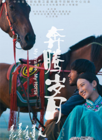 国内精品久久久久精品